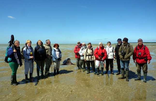 Baie de Somme